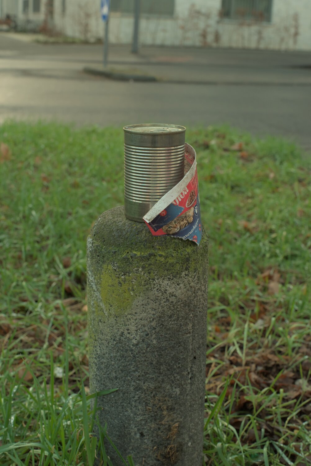 a can of cat food sitting atop a concrete pole, amidst grass, with a peaceful road in the background... it's worth noting that i didn't stage this, i just saw it like this ^^'
