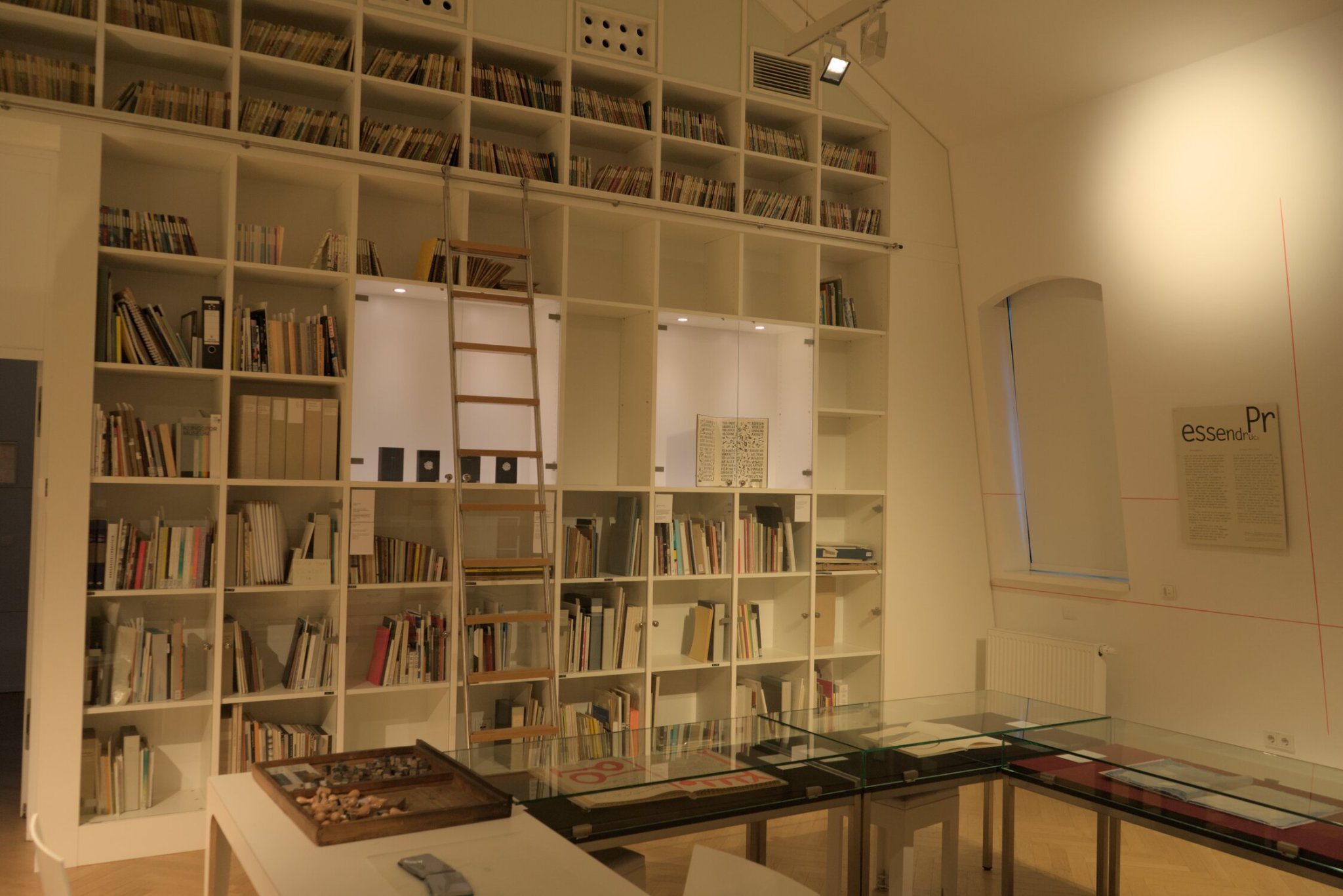 a large bookshelf, so large it has a ladder attached. many books adorn its shelves
