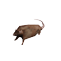 rat_spinning