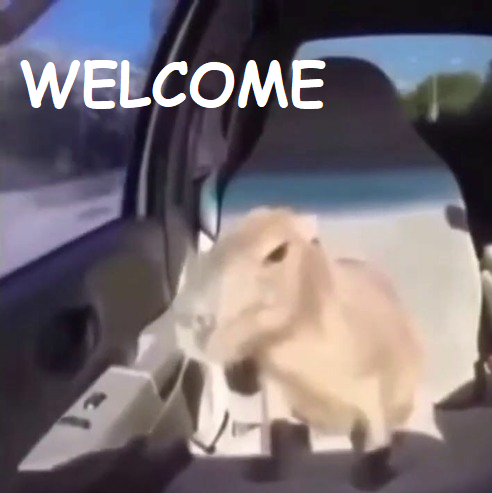 a blurry and low resolution image of a capybara sitting in a car's passenger seat, overlaid is text saying 'welcome' in comic sans font