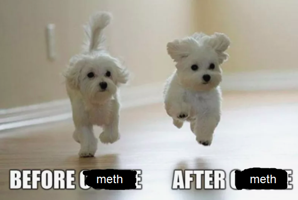 two dogs, one of which is walking (with a caption "before meth") and one of them is running and jumping (with a caption "after meth")