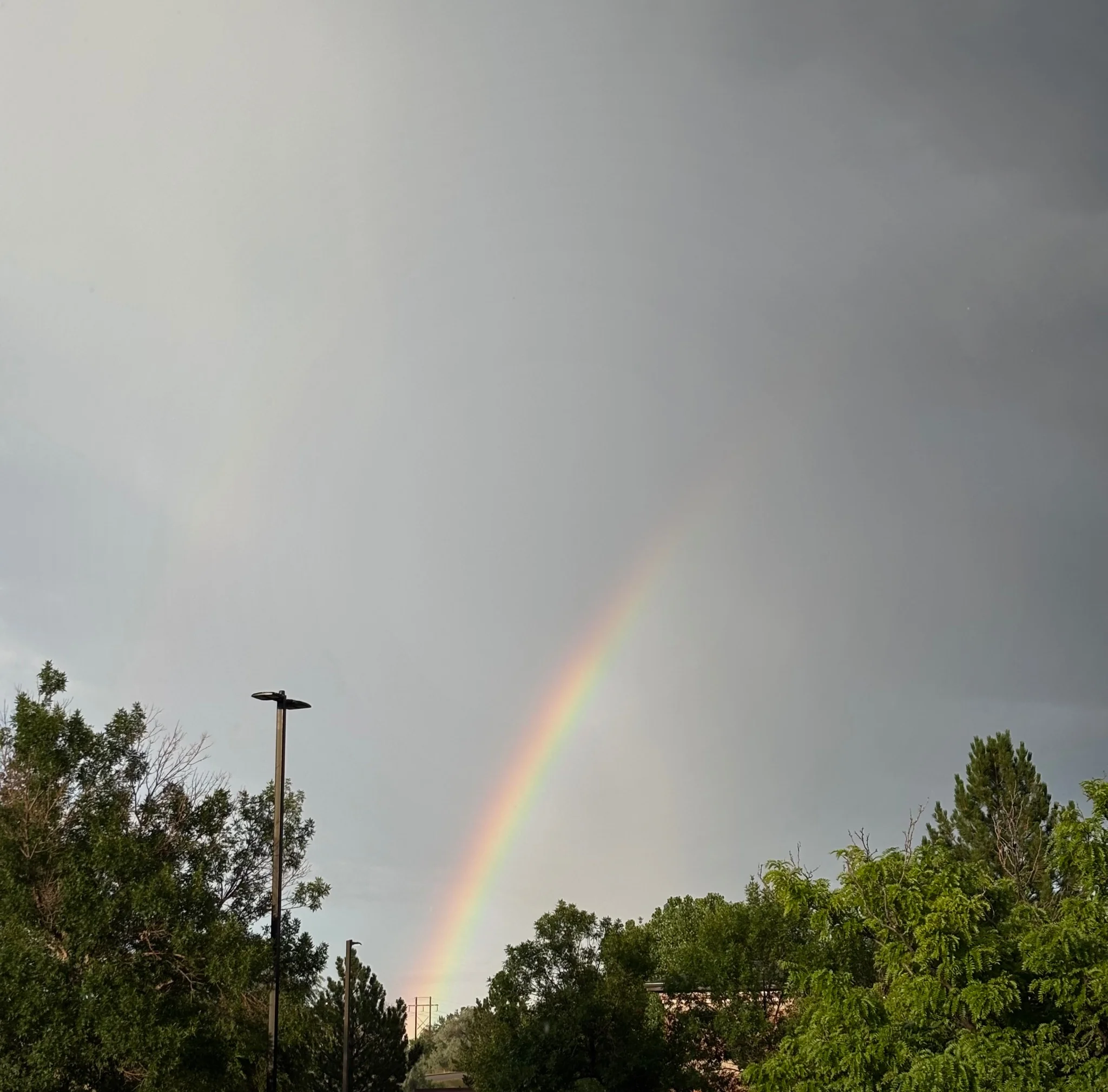 Trees and a lamppost in the foreground, a building can be seen slightly through the trees.
far in the distance, there is a power pole, and behind that, there is a rainbow going up and to the right from it.