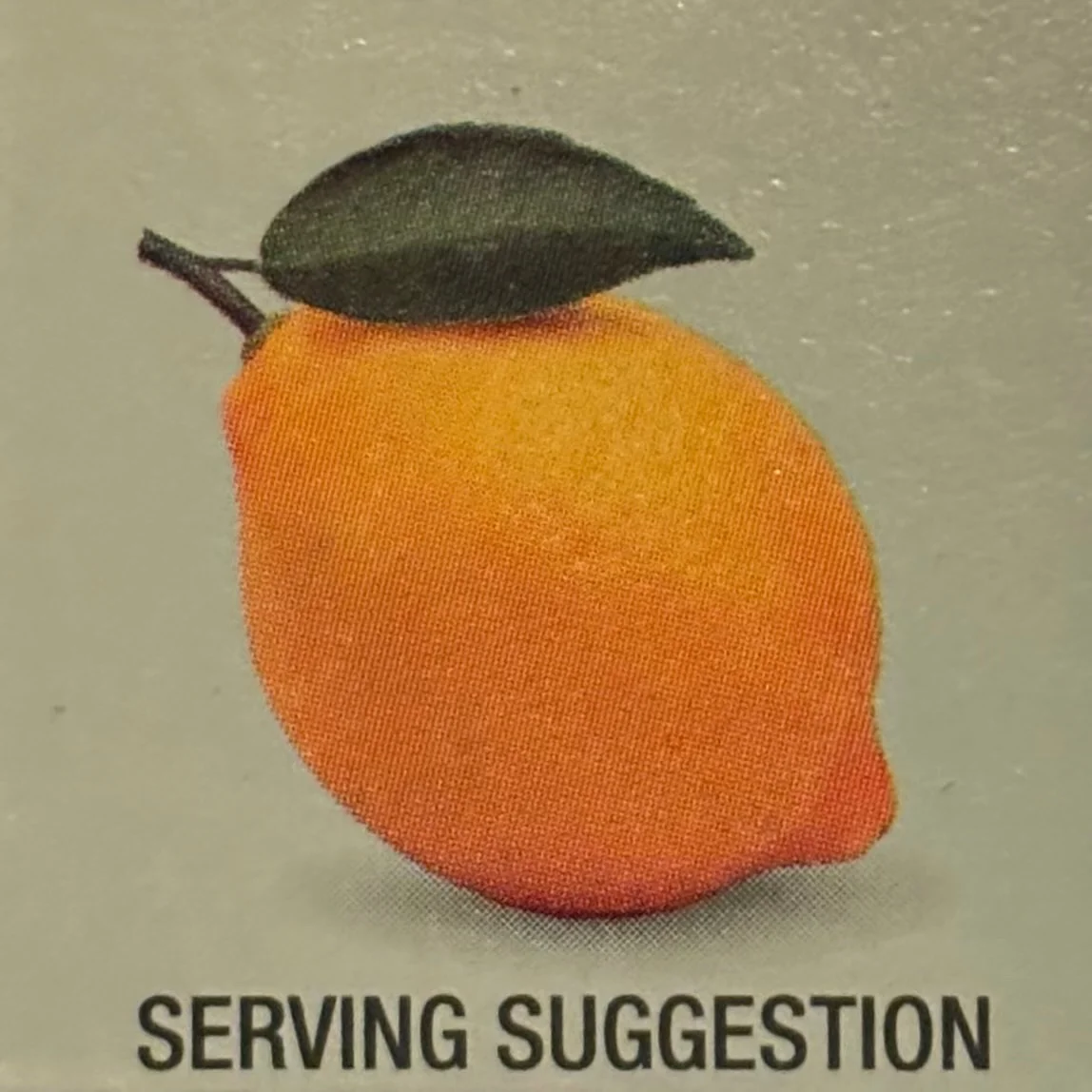 a printed image of a lemon, complete with leaf, text below reading 'serving suggestion'