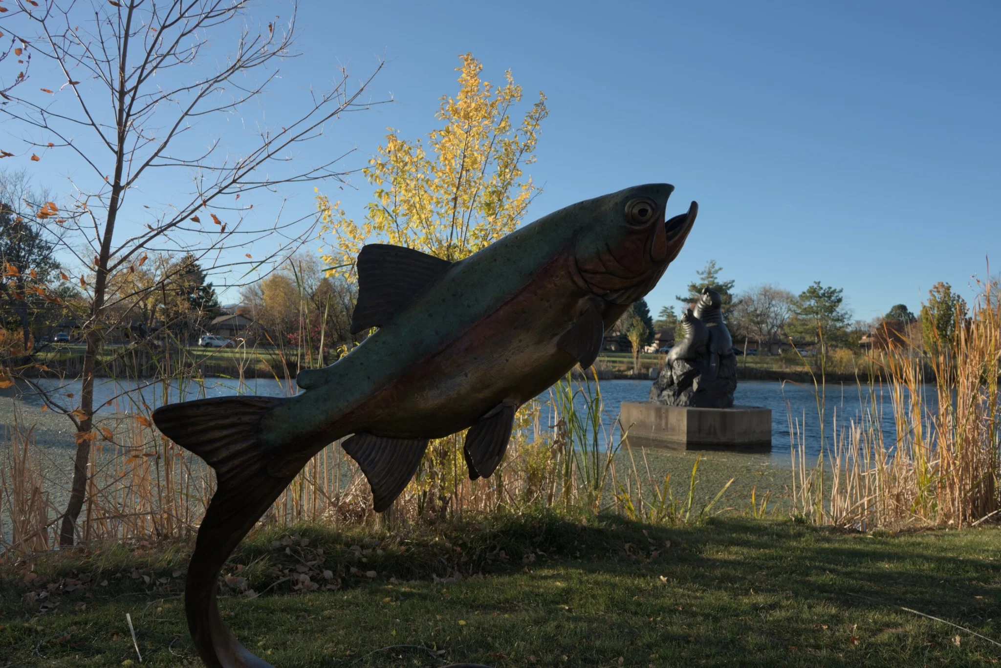 a rainbow trout statue, the coloration of the fish is visible, a nice statue overall