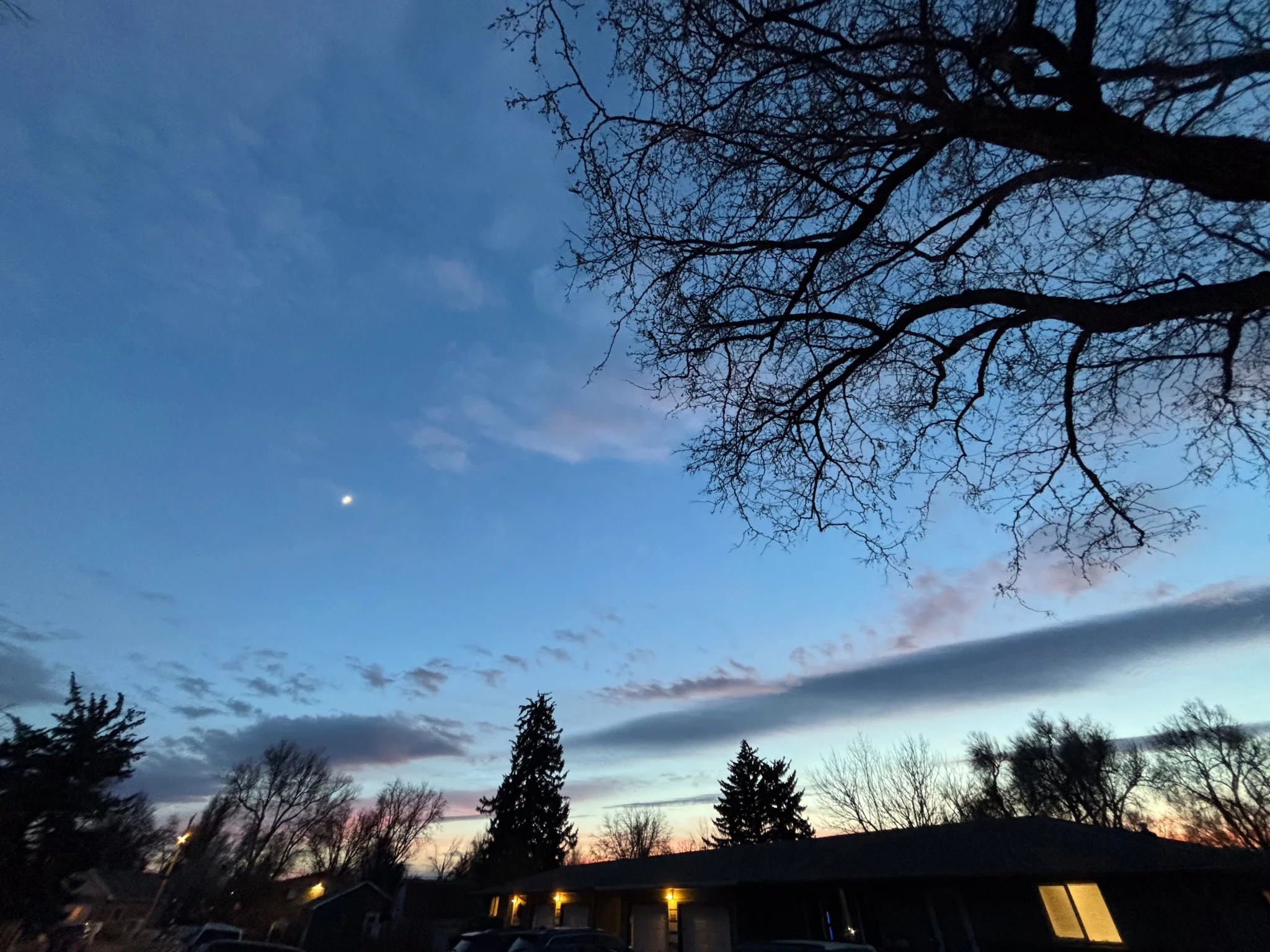 wide angle shot of a sunset, outside a building, with trees silhouetted in the foreground, the clouds laced with the blues, pinks, purples and oranges of the setting sun