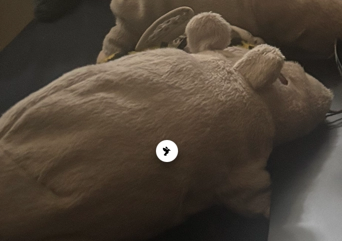 a screenshot of a photo of a plush rat, containing an apple animal identification button