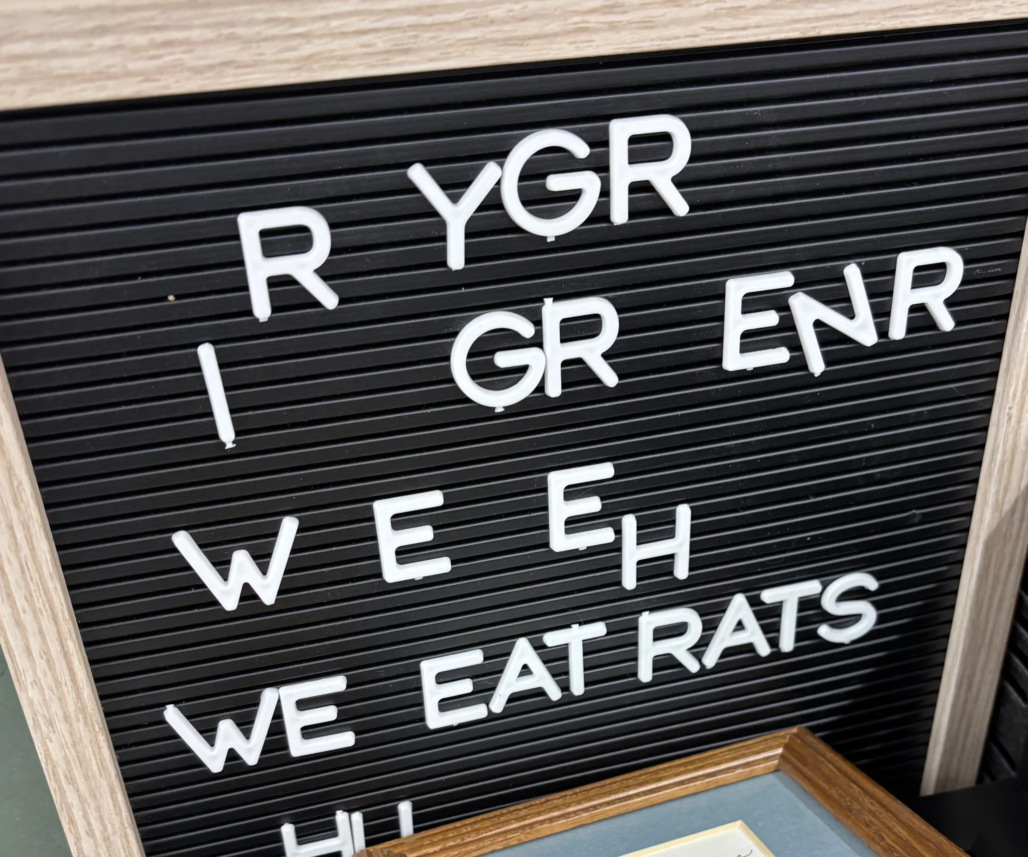 a rearrangable letter board, with gibberish randomly placed letters, excluding the sentence "we eat rats"