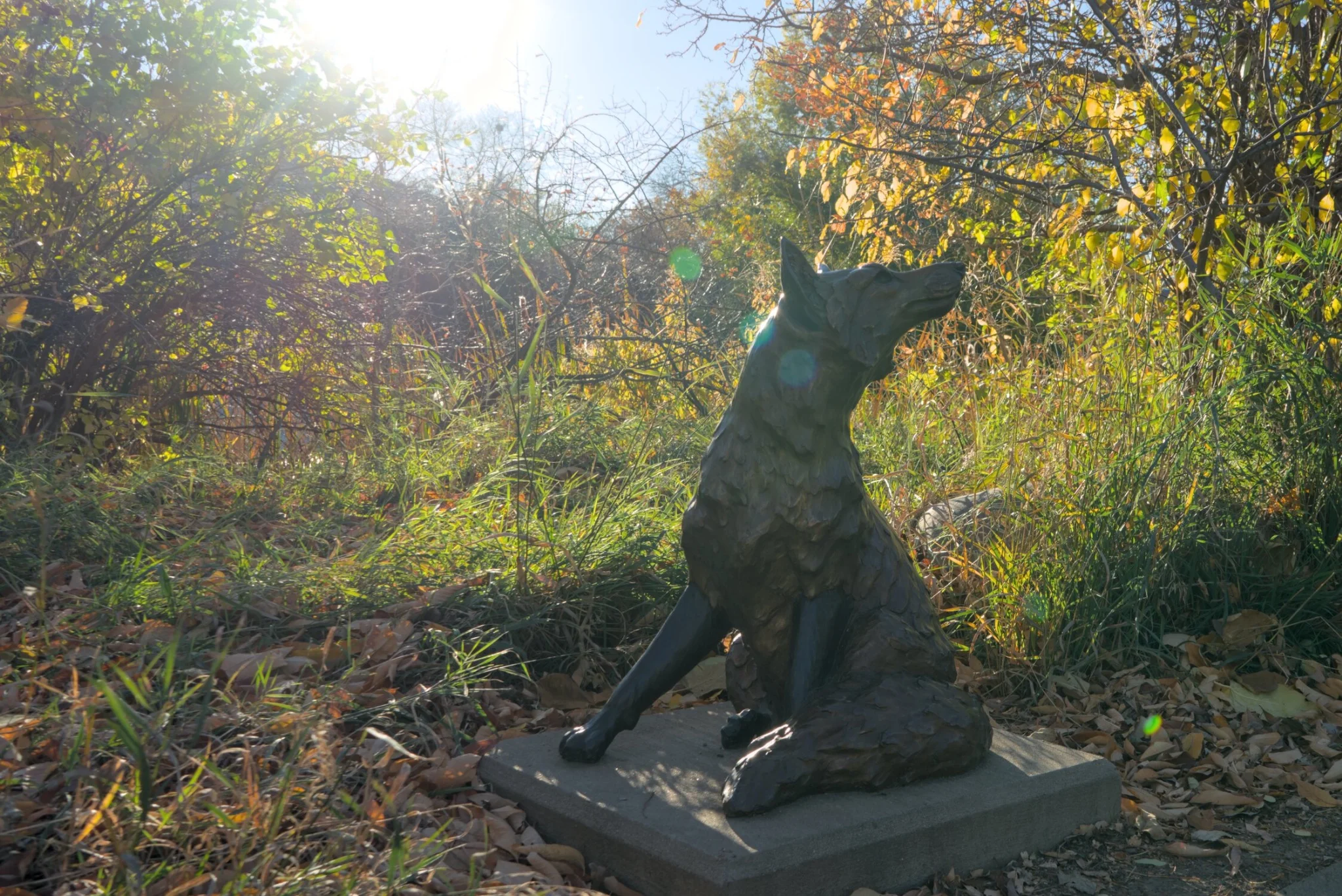 the fops statue, from a different angle, looking rather majestic in this shot, with lens flares clearly visible