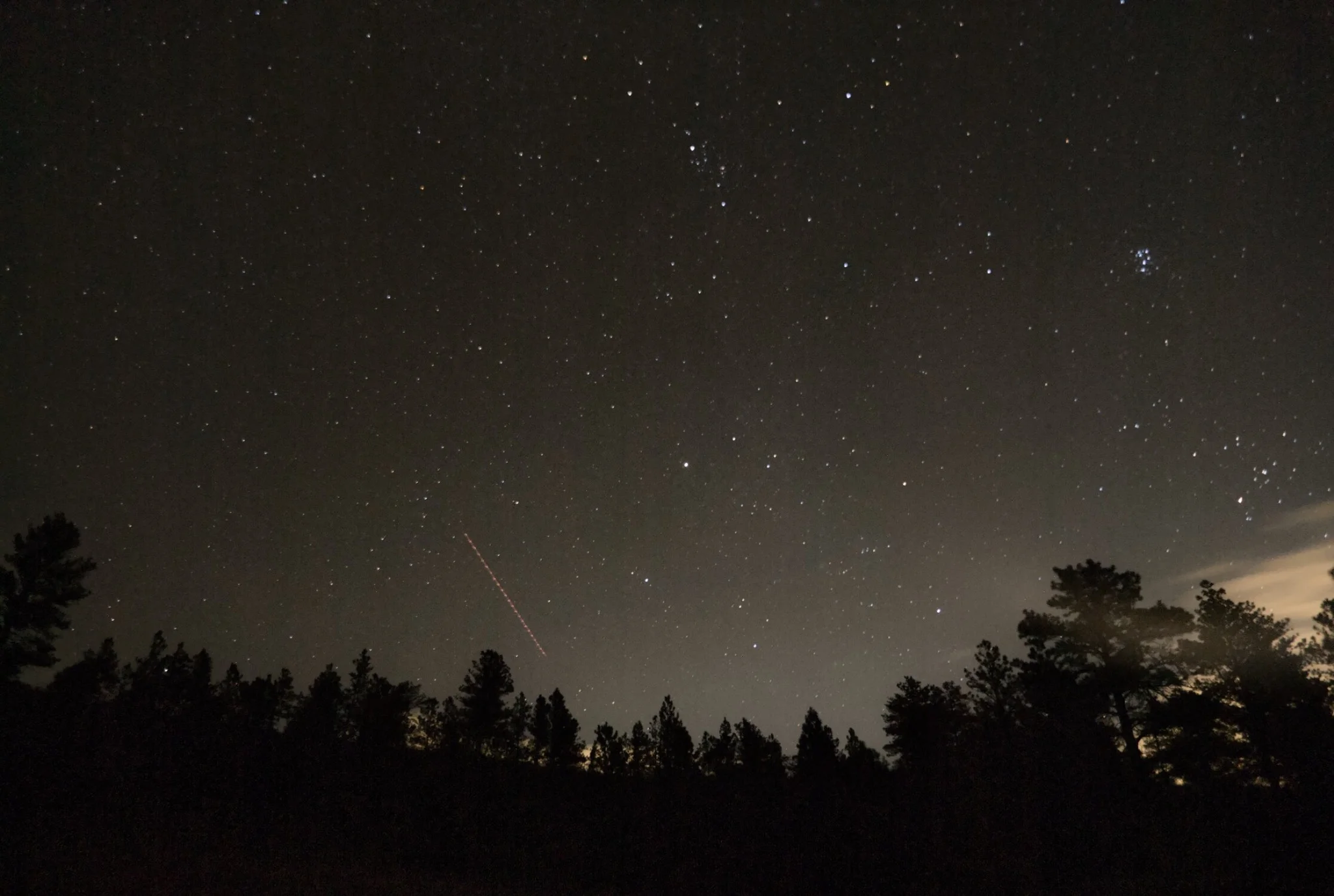 a field of stars, with silhouetted trees in the foreground, light pollution visible on the horizon and the streak of an airplane towards the bottom of the frame