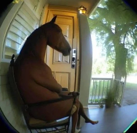 spyhole view of a horse sitting right next to a door