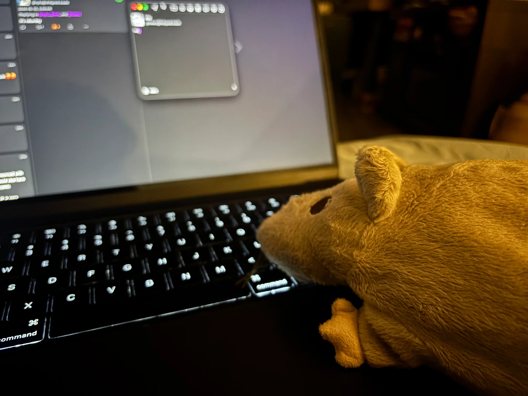 a råtta using a laptop to look at fedi, perhaps composing a post, none of the details on screen distinct