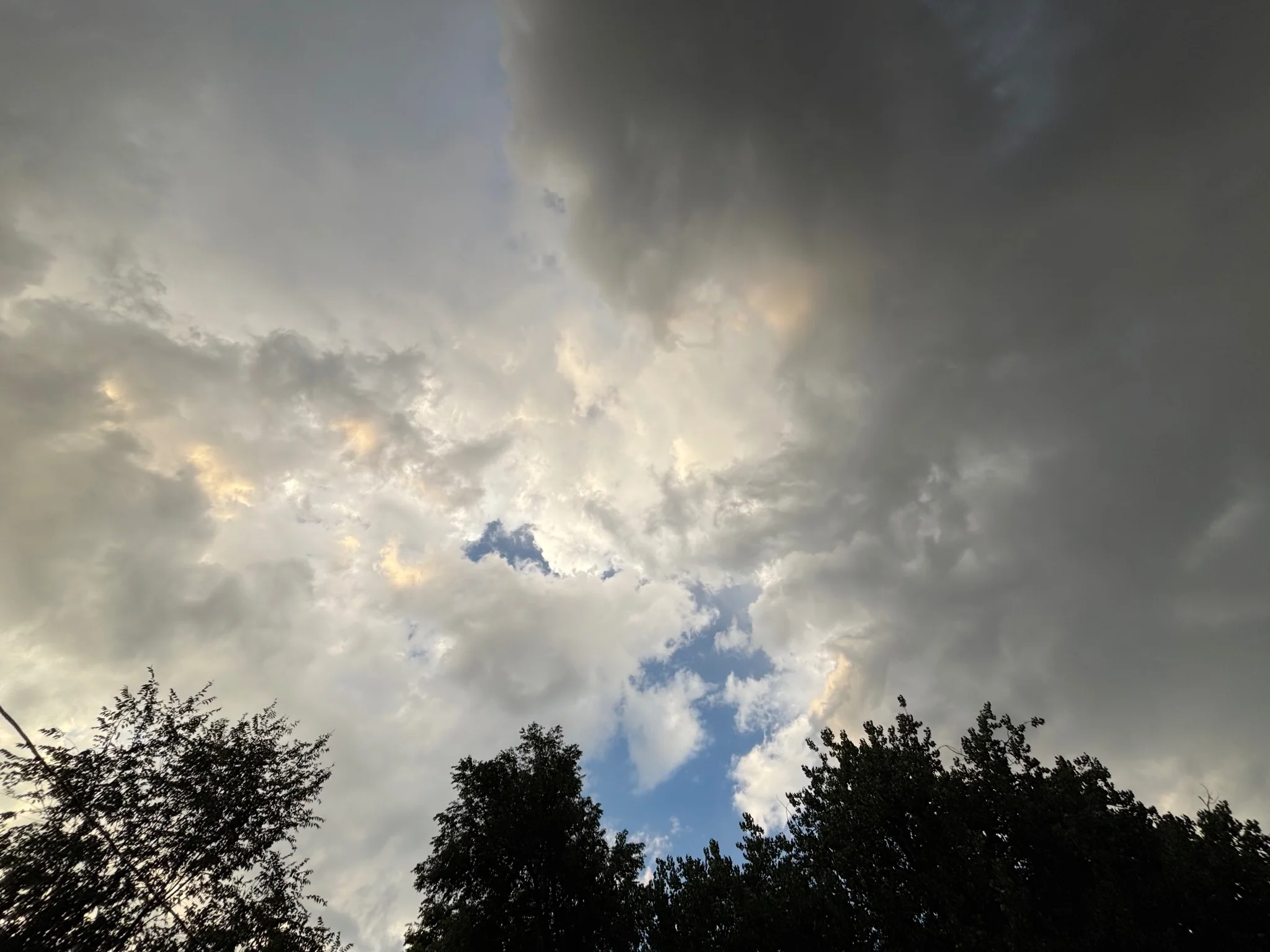 Some trees at the bottom of the frame, with a power wire at the bottom left.
most of the shot is of clouds, with a bit of sky peeking through in the lower center
this shot was taken with the wide-angle setting, so there's a bit of fish eye effect