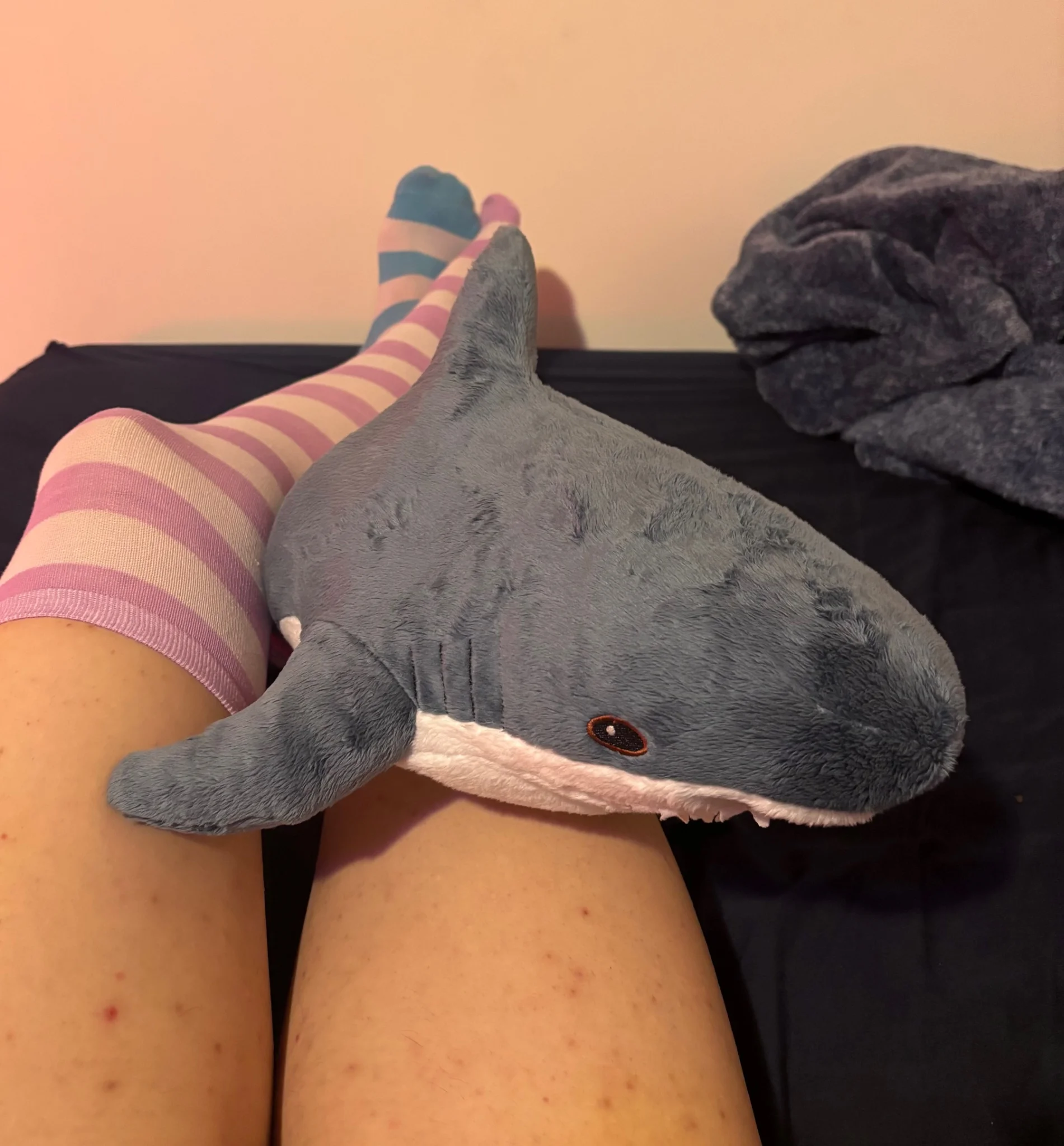 mini-haj has entered the chat! the shork is squished between my legs, with the left crossed over the right