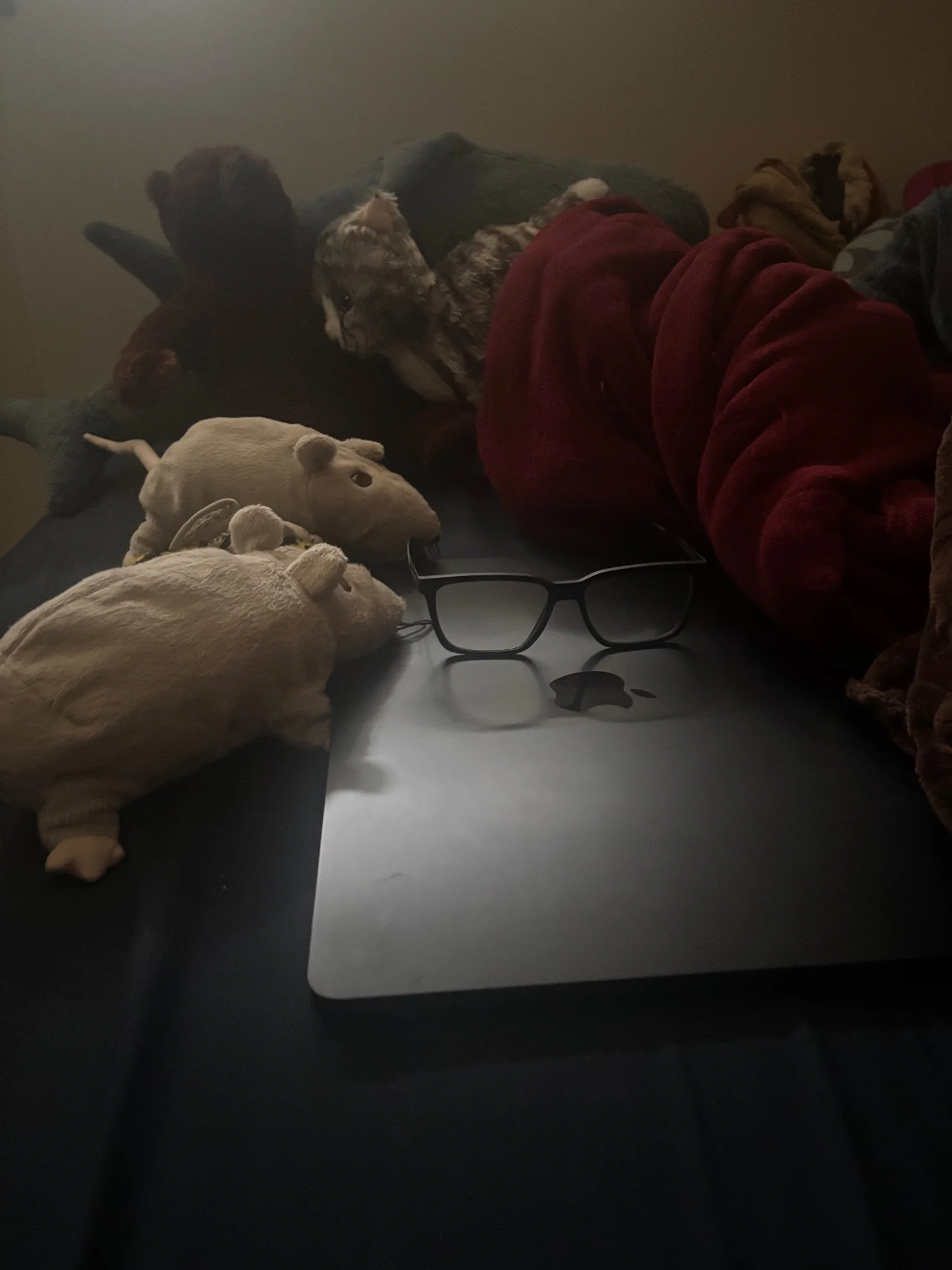 tidy's bed, upon which sits multiple plush rats, sharks, bear and cat, alongside blankets and tidy's glasses