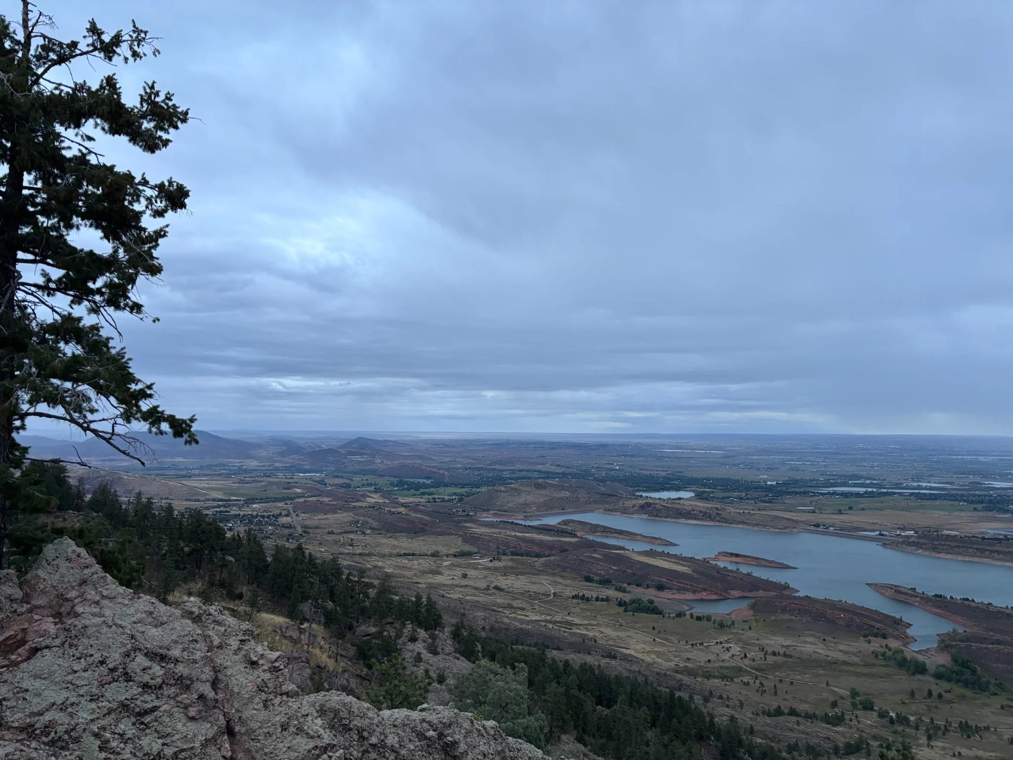 landscape showing horsetooth reservoir, a pine tree is visble in the left of frame
the sun has just risen and the sky is lighting up