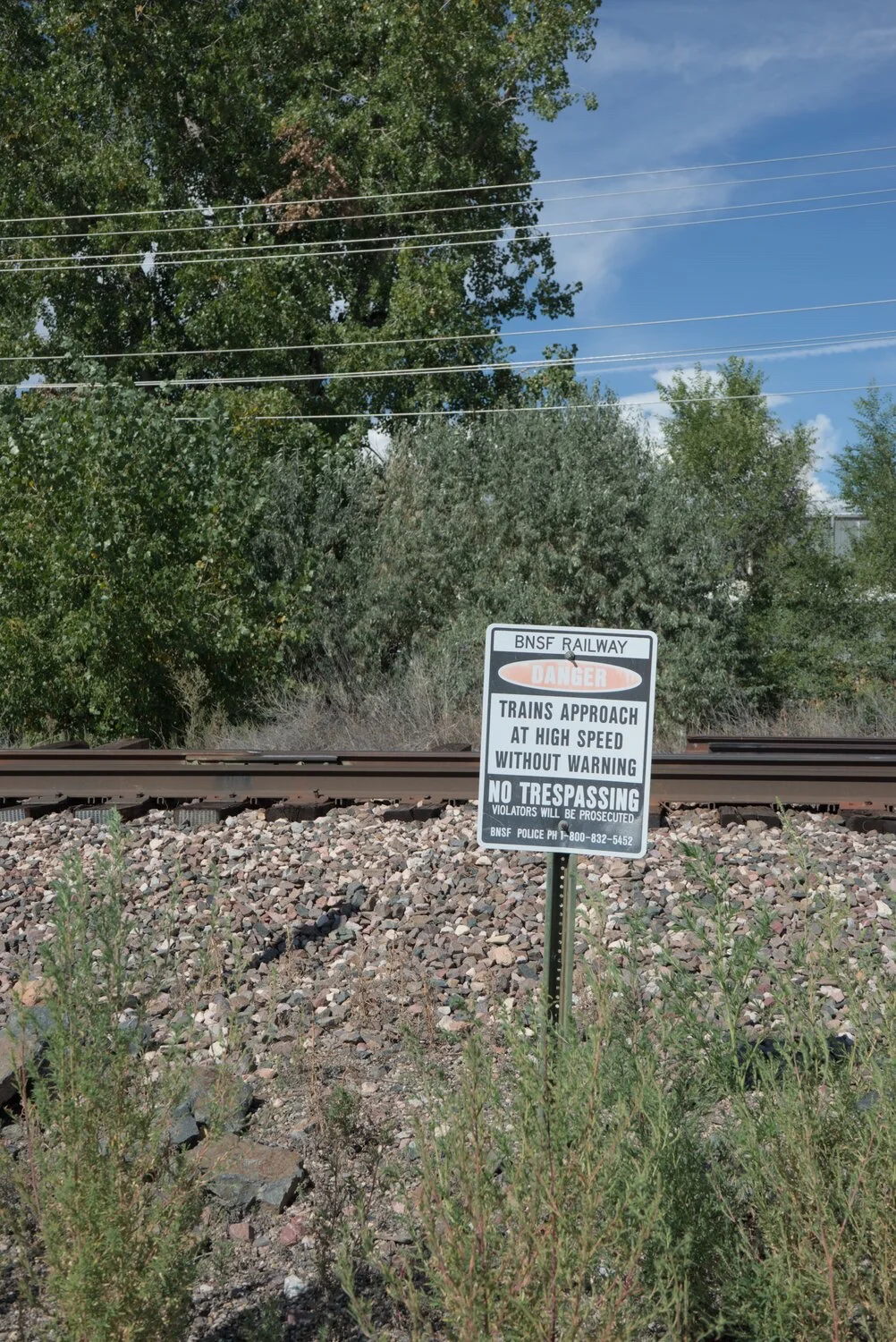a no trespassing sign for the bnsf railway, in front of some railroad tracks
trees and plants are visible throughout the frame