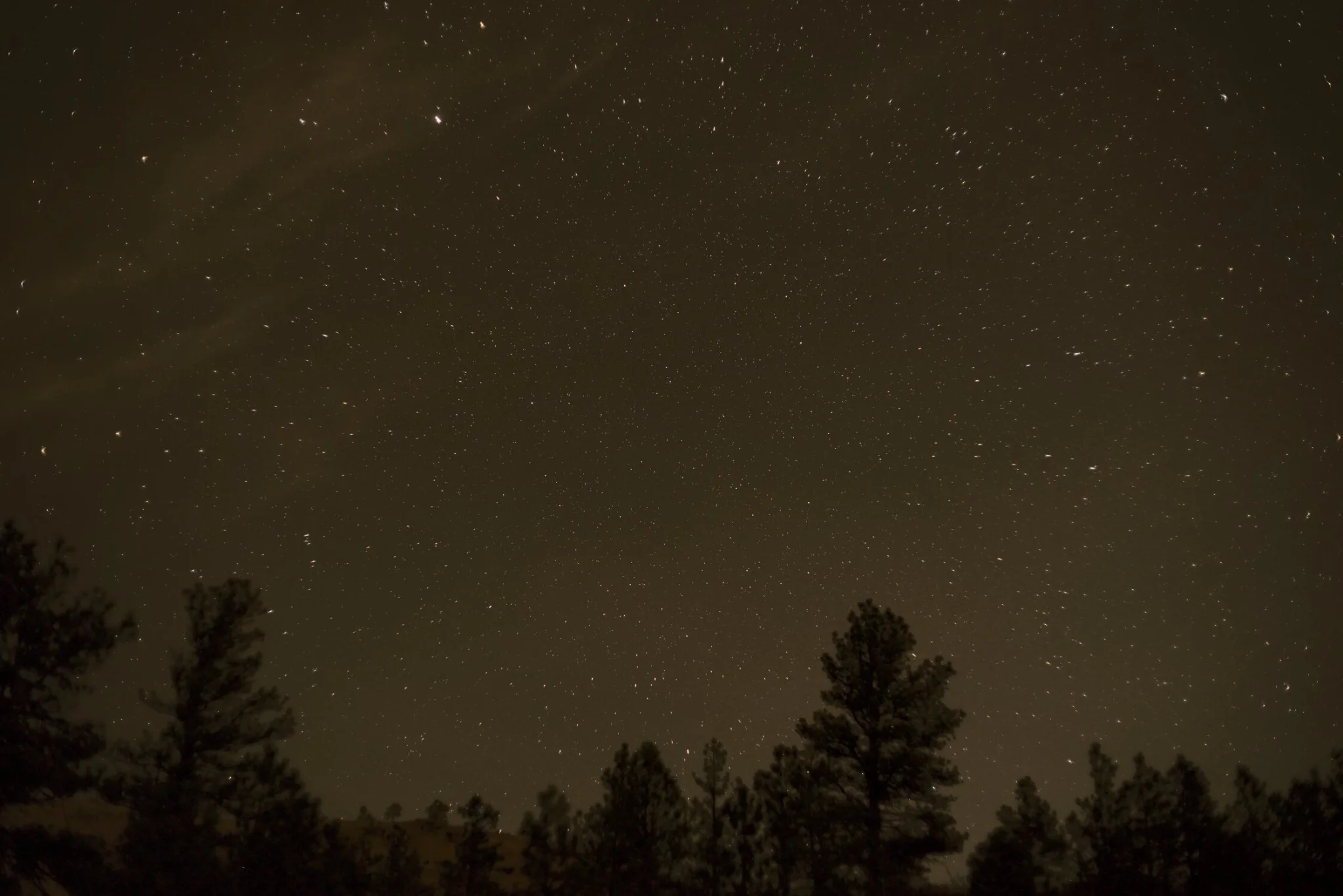 a starfield, with visible clouds towards the upper left of the frame, trees silhouetted in the foreground