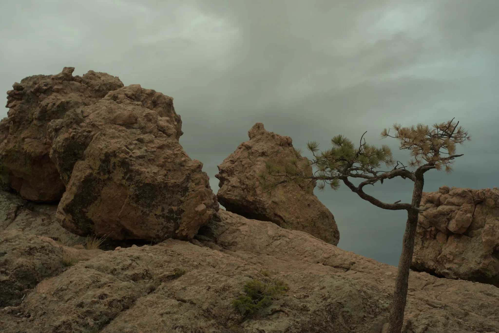 here we see some find boulders, and a lovely scraggly little pine tree, the sky is magnificently overcast